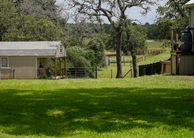 Pastoral landscape with sheds and lush trees