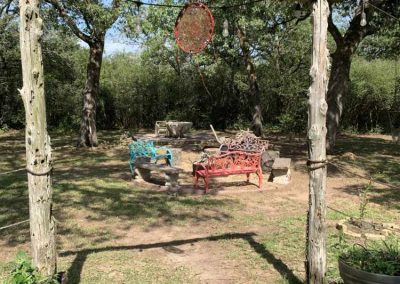 Outdoor seating area with colorful benches under trees