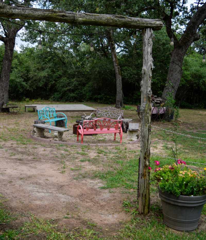 Colorful garden benches under tree with hanging lights