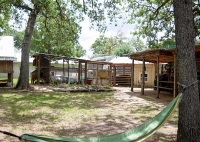 Green hammock between trees in rustic backyard setting