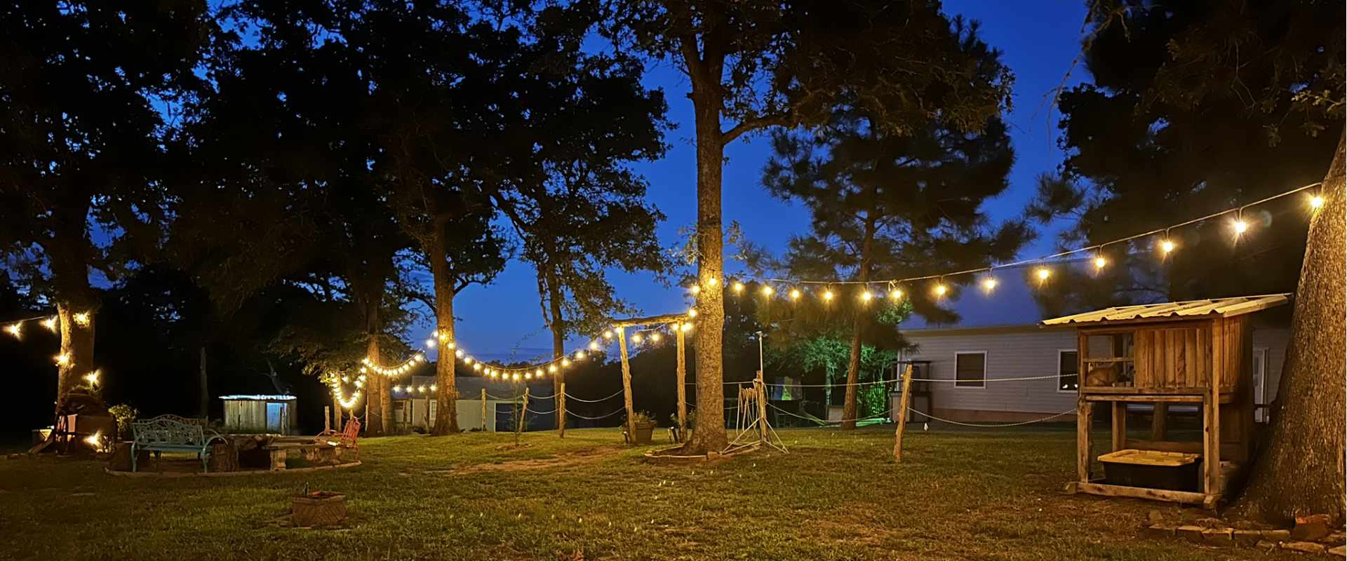 Twilight backyard scene with string lights and trees