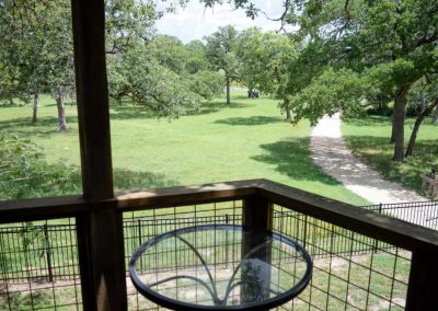 Scenic view from balcony overlooking lush green park