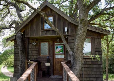 Rustic treehouse nestled among verdant oaks