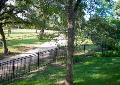 Serene park pathway with lush trees and fence