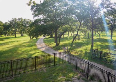 Curving pathway through sunlit, tree-lined park.