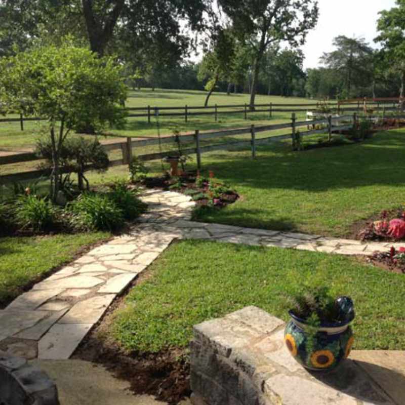 yard-2 Sunlit garden path with lush greenery and decorative pot